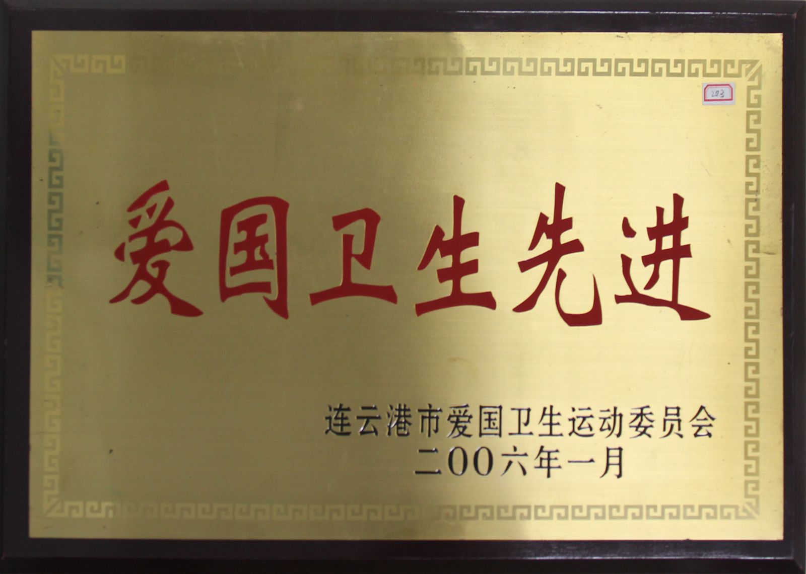 公司榮獲“2006年愛國衛(wèi)生先進(jìn)”稱號(hào)